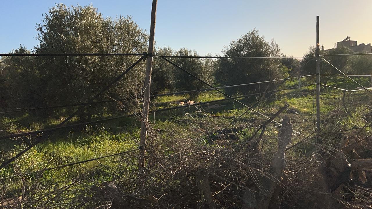 5e2dab8c 48de 44a3 8700 49355859aa4e