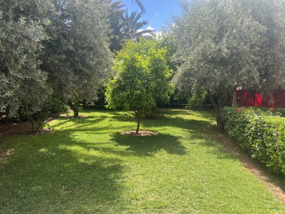 img 3059