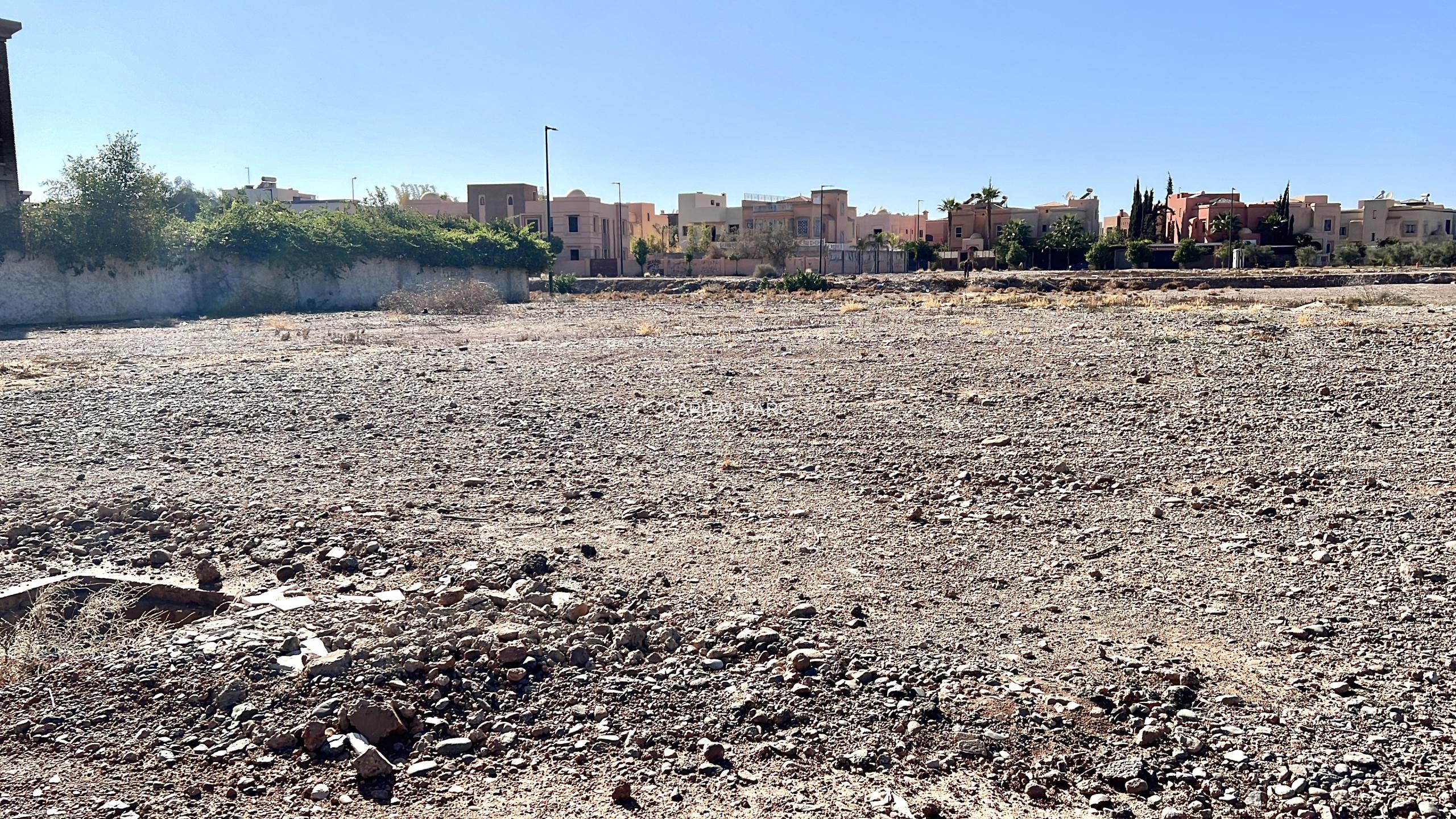 80BE70F1 4710 48E0 8D6B D414BEAB17A3 Scaled 80BE70F1 4710 48E0 8D6B D414BEAB17A3 Scaled