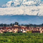 Vente : terrain 151 ha