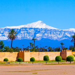 Vente : terrain 1 ha bab atlas zone touristique
