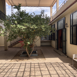 Vente : maison titrée 2500 m