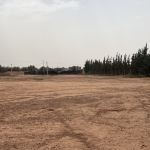 Vente : terrain zone urbaine Tamazouzt