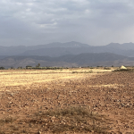 Vente : magnifique terrain route Tahanaoute.