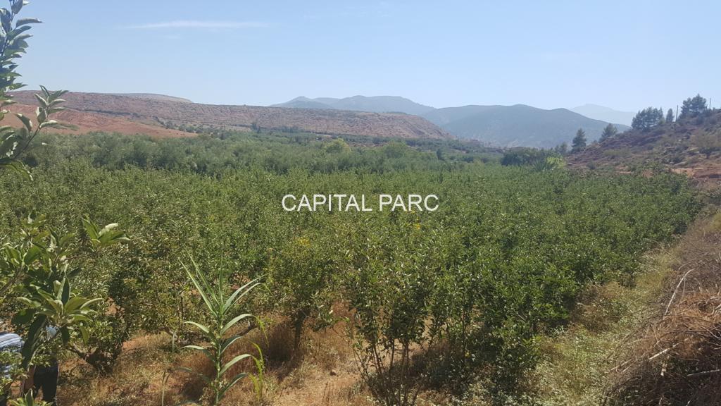 Ae7a2017 C7fa 4e6a 890d 53483f9e46ff