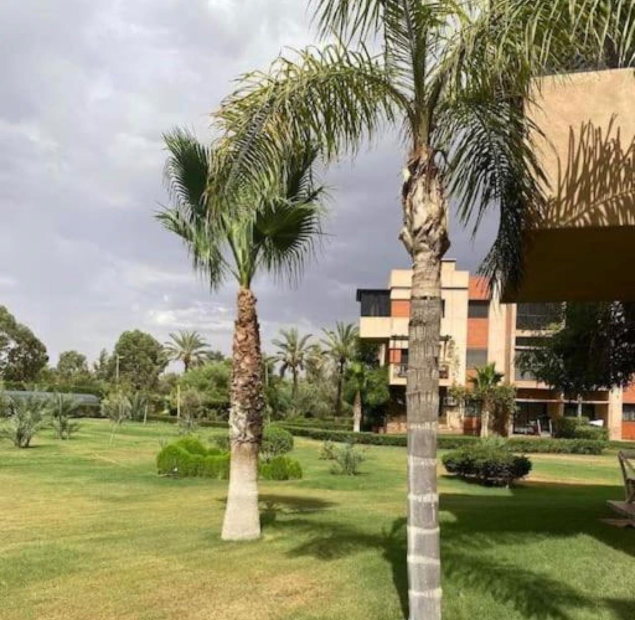 158f24ec d5c2 4ed7 91ca c120cbae7561