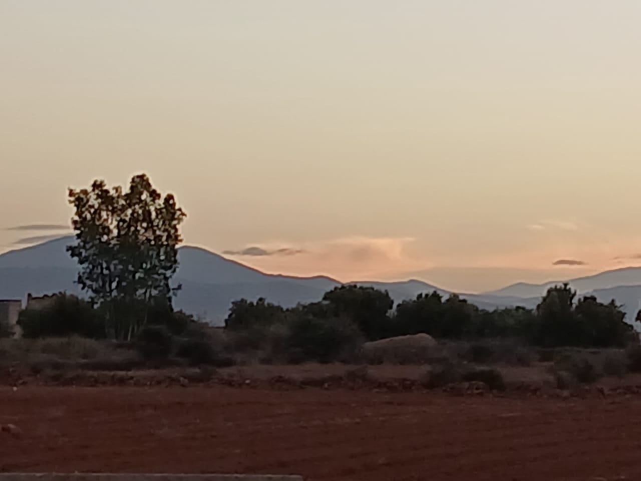 617eec6f 5f36 4d34 a655 6d17df463809