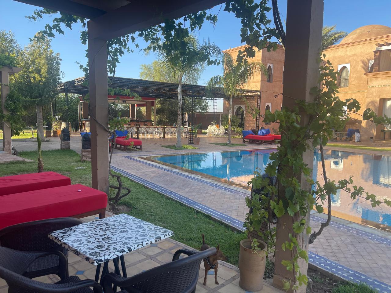 8ef6b18a edc3 4003 939c 122ae84147fb