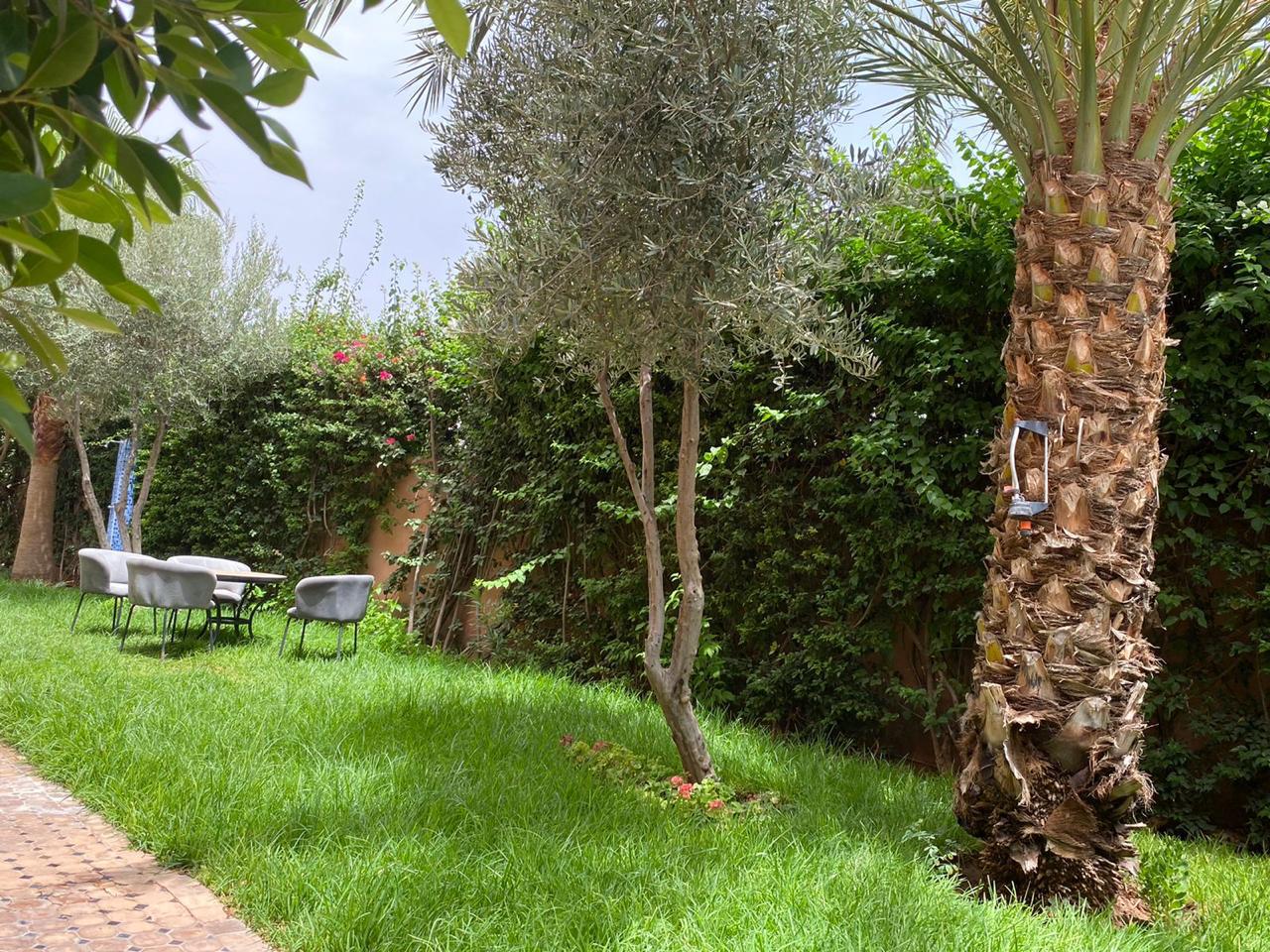 f79a6fec 0642 478e b65a 0be76c5d358e