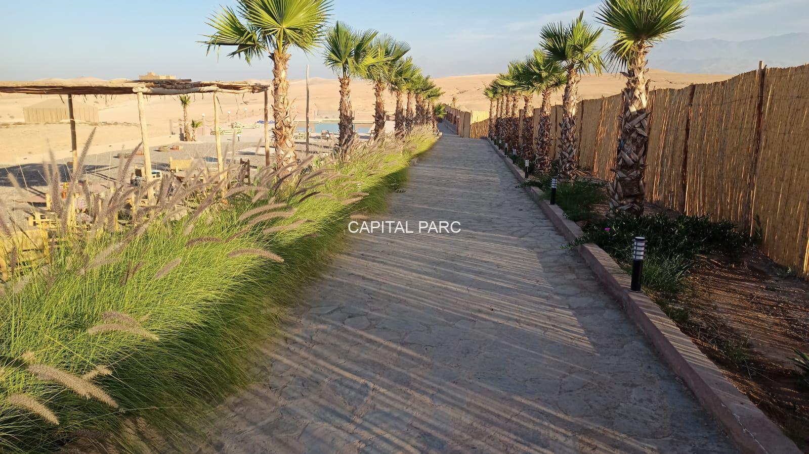 046e42a2 3f90 469b 80e3 4e0bcce6c722