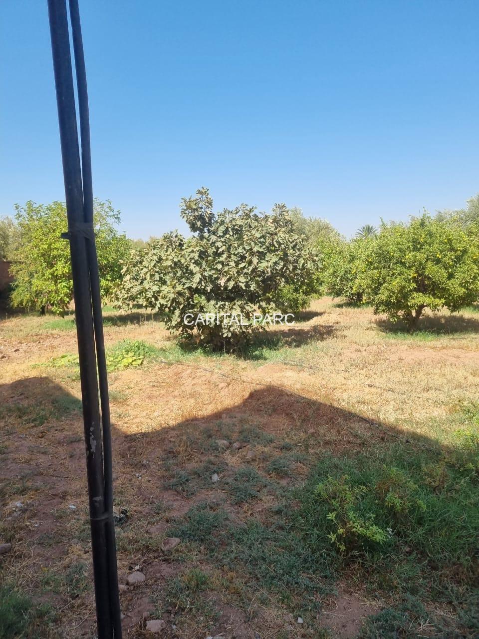 2823ff93 2f73 4ae6 8c2b 3ab1d5a1a0c2