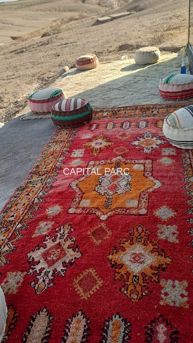 3f108295 0e5f 4f25 9d17 b1094667e826