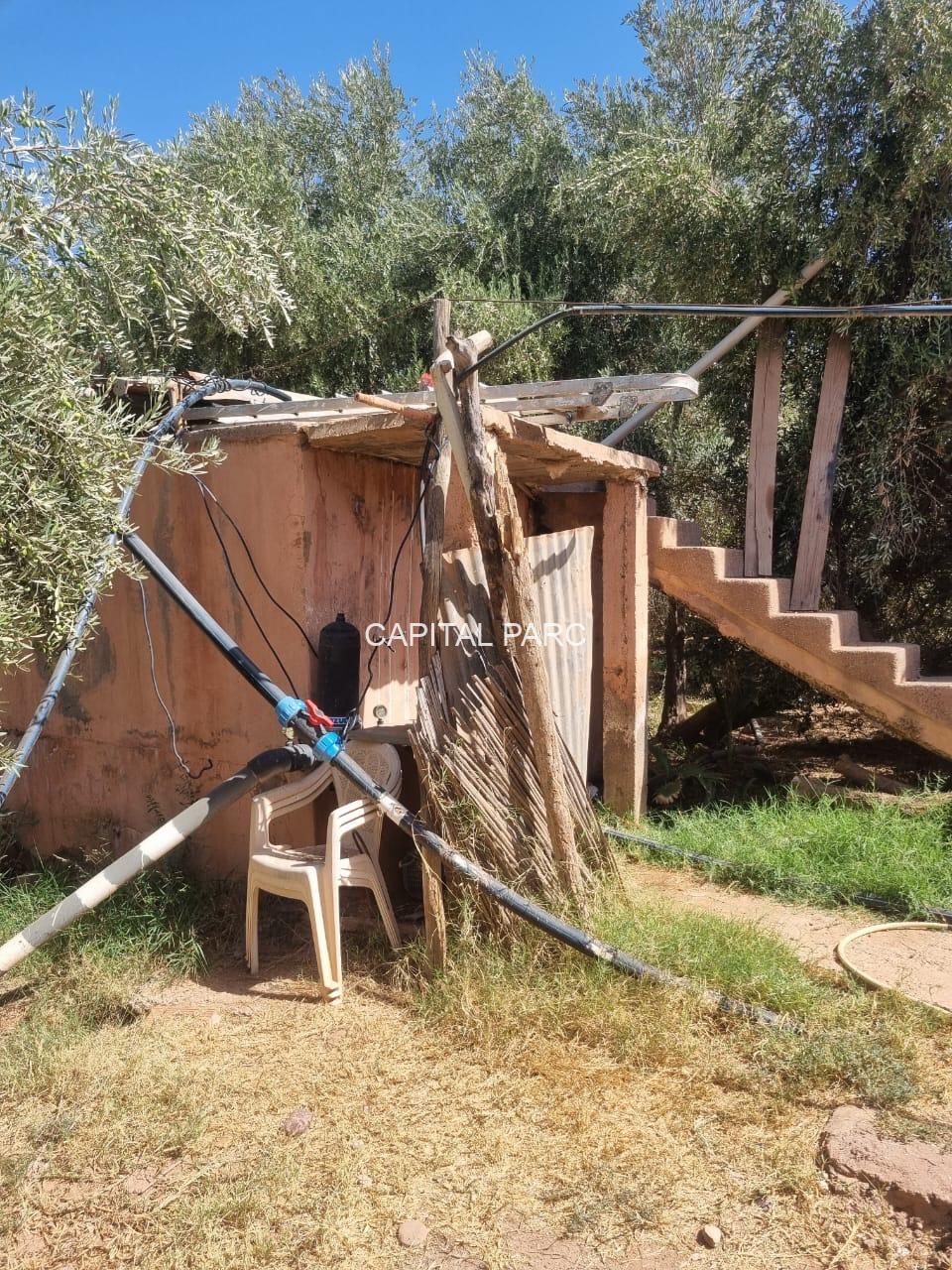 836be7b4 1667 4f04 a4ab 4ccf21a64381