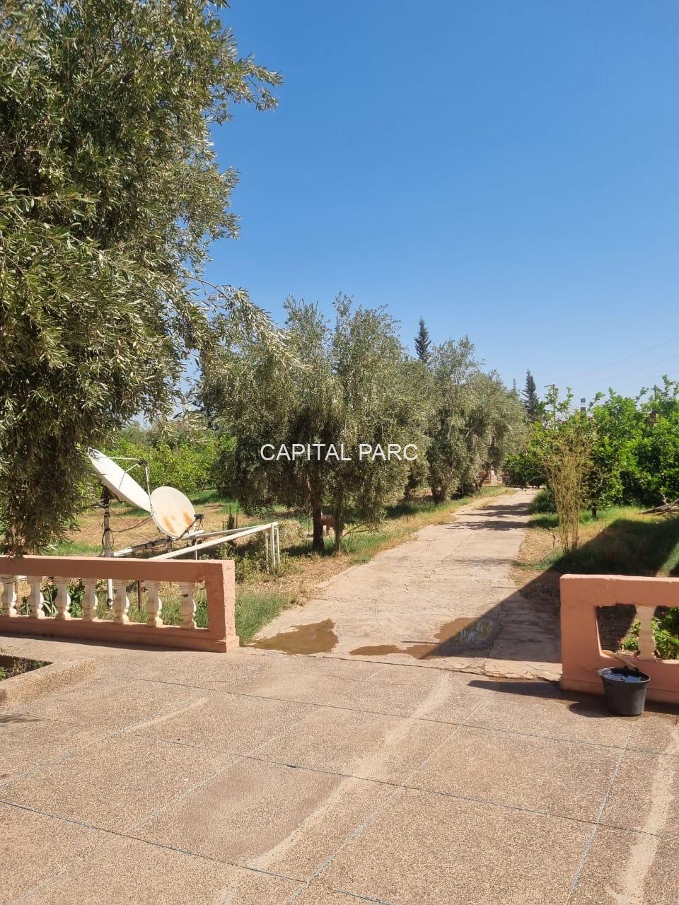 9860a5bc 7584 43b5 997d 16c22331698c 9860a5bc 7584 43b5 997d 16c22331698c