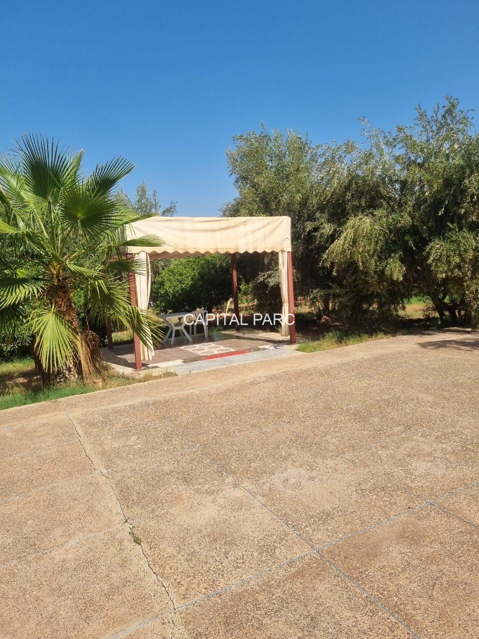 ab1261b5 803b 465f a25d 1674f751bdd6