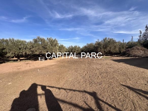 Nouvelles Bien à vendre et à louerTrouvez la maison de vos rêves près de chez vous en fonction du prix,des équipements ou d’autres critères. Nous vous présenterons l’historique des ventes et vous prodiguerons des conseils utiles.,Villa,appartement,vente,achat,marrakech,immobilier,capitalparc,terrain