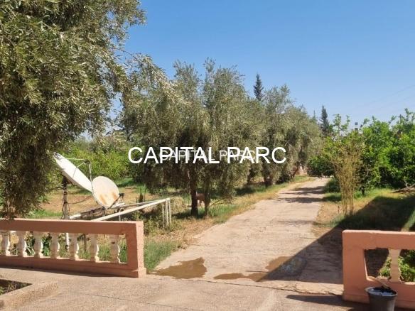 Nouvelles Bien à vendre et à louerTrouvez la maison de vos rêves près de chez vous en fonction du prix,des équipements ou d’autres critères. Nous vous présenterons l’historique des ventes et vous prodiguerons des conseils utiles.,Villa,appartement,vente,achat,marrakech,immobilier,capitalparc,terrain