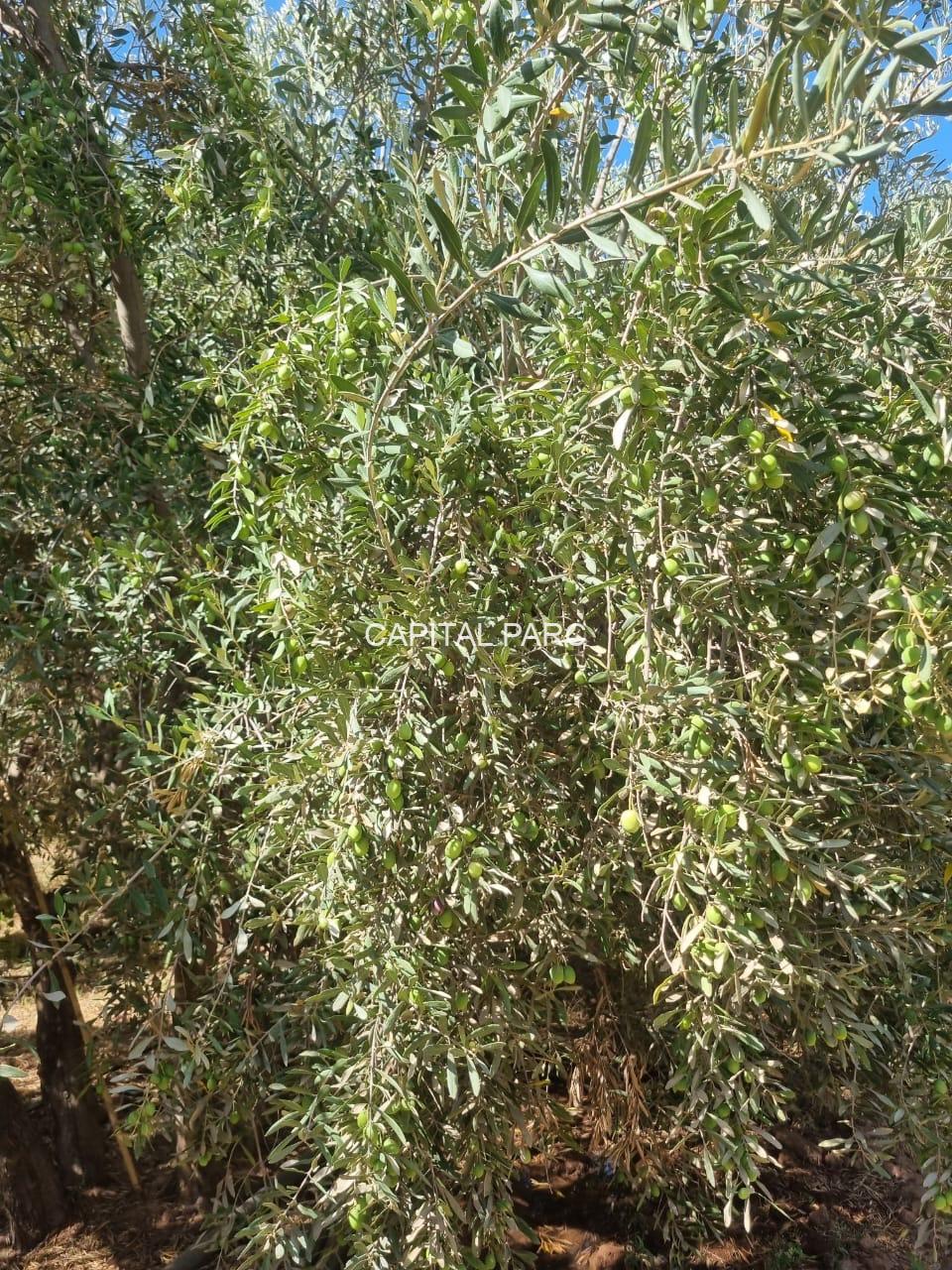 fbf61712 25a8 4de5 9f7c 4a333673ef00